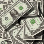 NRI reviewing repatriation paperwork for money leaving India