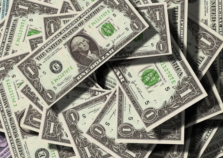 NRI reviewing repatriation paperwork for money leaving India