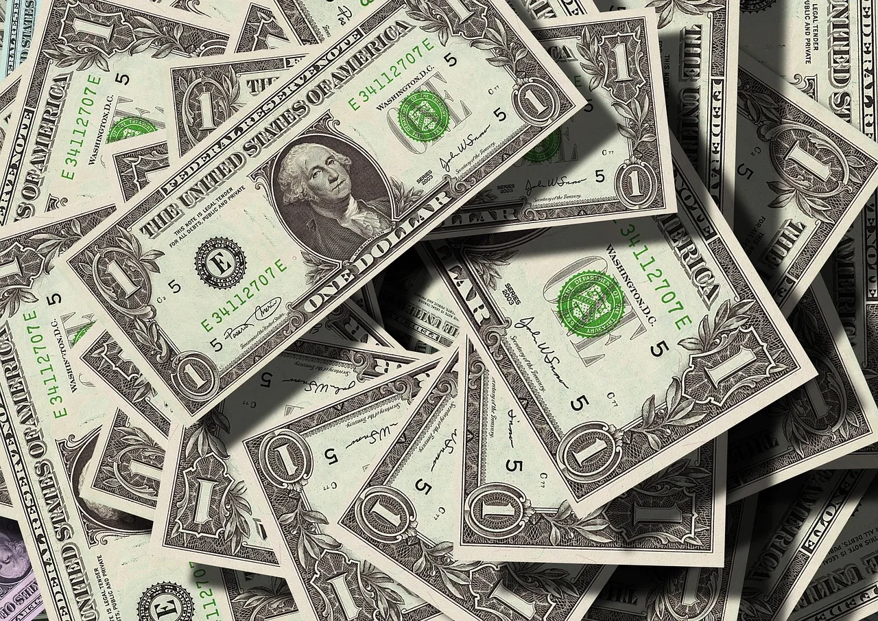 NRI reviewing repatriation paperwork for money leaving India
