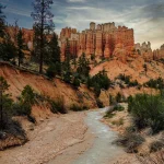 NRE vs NRO Accounts: The 5-Question Family Argument